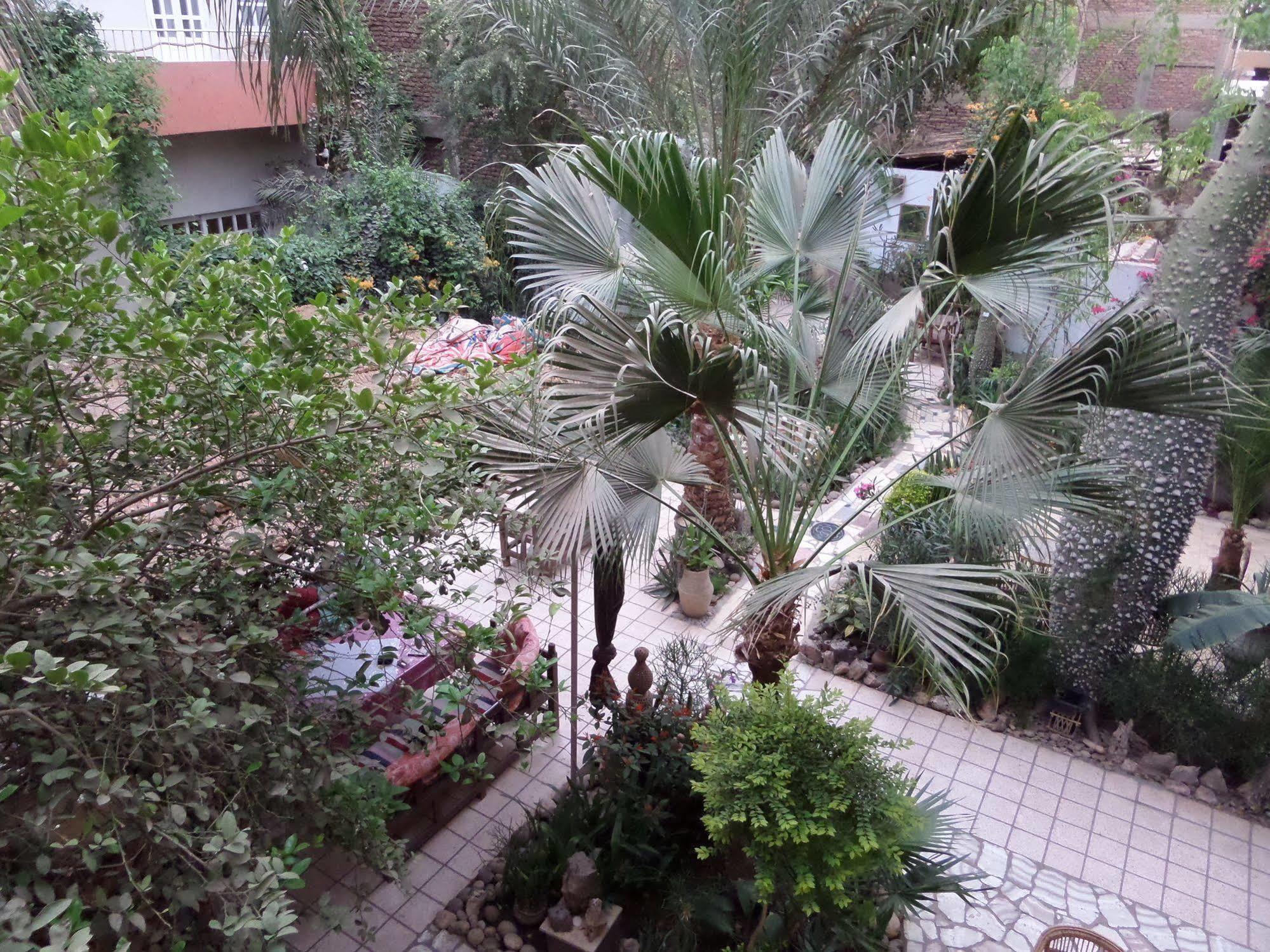 Amon Hotel Luxor Exteriör bild